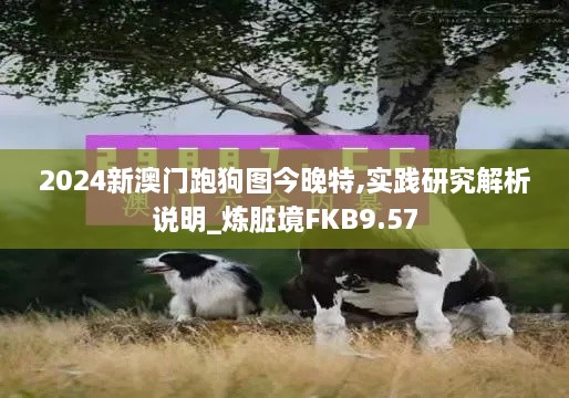 2024新澳门跑狗图今晚特,实践研究解析说明_炼脏境FKB9.57