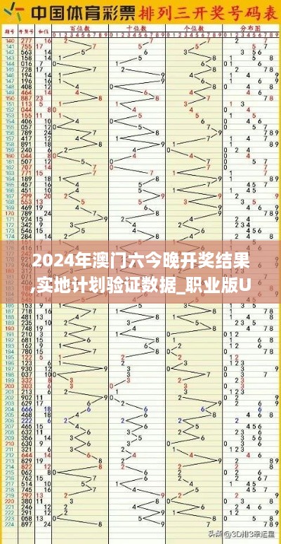 2024年澳门六今晚开奖结果,实地计划验证数据_职业版UJS1.13