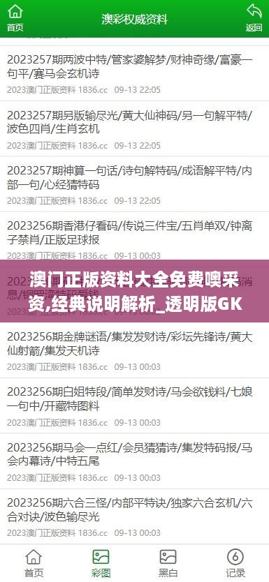 澳门正版资料大全免费噢采资,经典说明解析_透明版GKO7.51