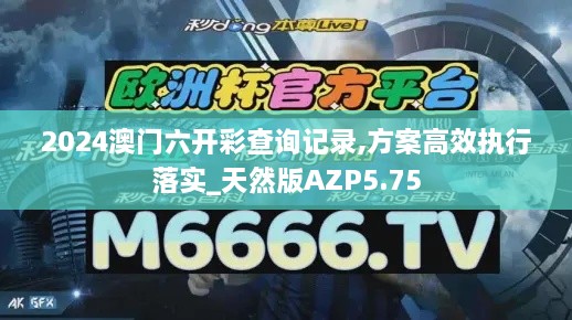 2024澳门六开彩查询记录,方案高效执行落实_天然版AZP5.75