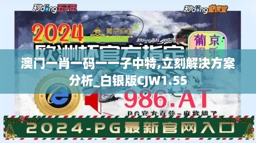 澳门一肖一码一一子中特,立刻解决方案分析_白银版CJW1.55