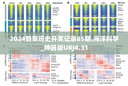 2024新奥历史开奖记录85期,海洋科学_神器版URJ4.31