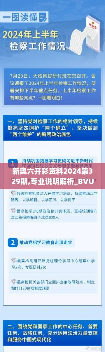 新奥六开彩资料2024第329期,专业说明解析_BVU1.52