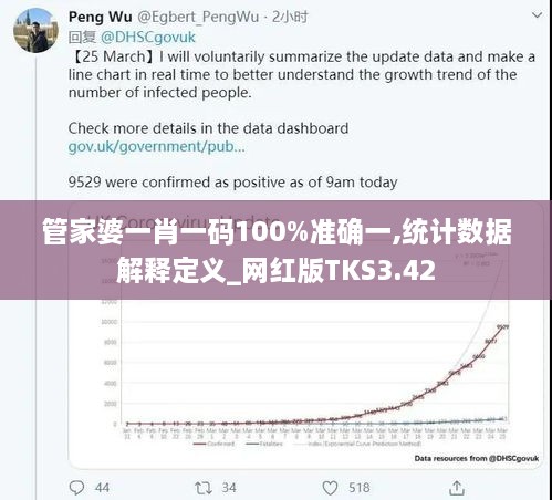 管家婆一肖一码100%准确一,统计数据解释定义_网红版TKS3.42