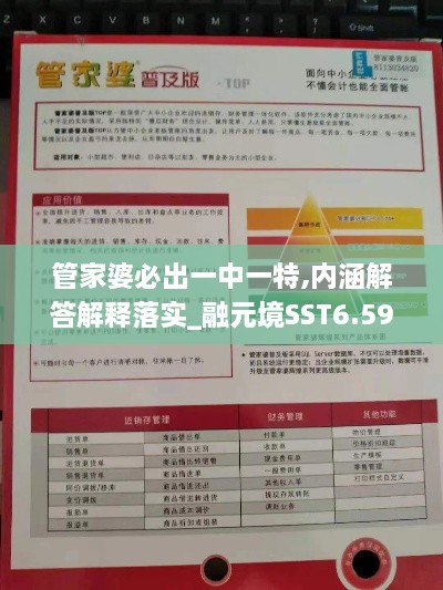 管家婆必出一中一特,内涵解答解释落实_融元境SST6.59