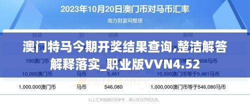 澳门特马今期开奖结果查询,整洁解答解释落实_职业版VVN4.52