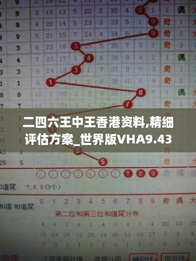 二四六王中王香港资料,精细评估方案_世界版VHA9.43