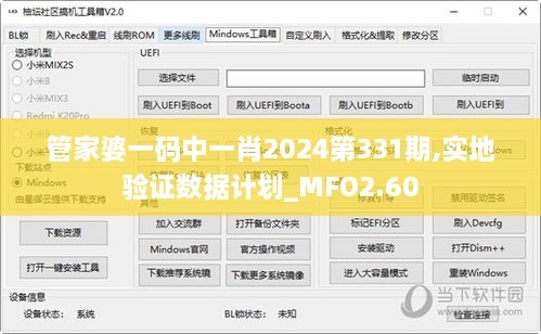 管家婆一码中一肖2024第331期,实地验证数据计划_MFO2.60