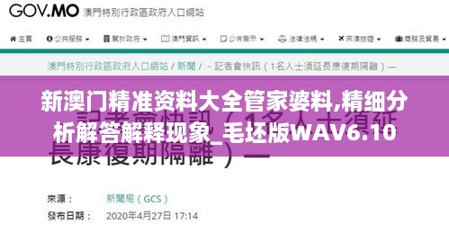 新澳门精准资料大全管家婆料,精细分析解答解释现象_毛坯版WAV6.10