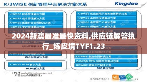 2024新澳最准最快资料,供应链解答执行_炼皮境TYF1.23