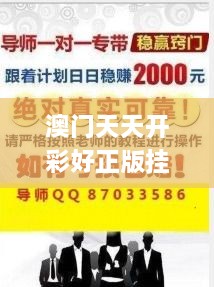 澳门天天开彩好正版挂牌,客户关系解答落实_迷你版HKH5.38