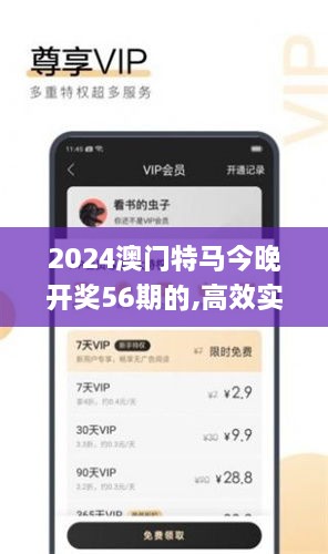 2024澳门特马今晚开奖56期的,高效实施策略设计_互助版LXF5.22