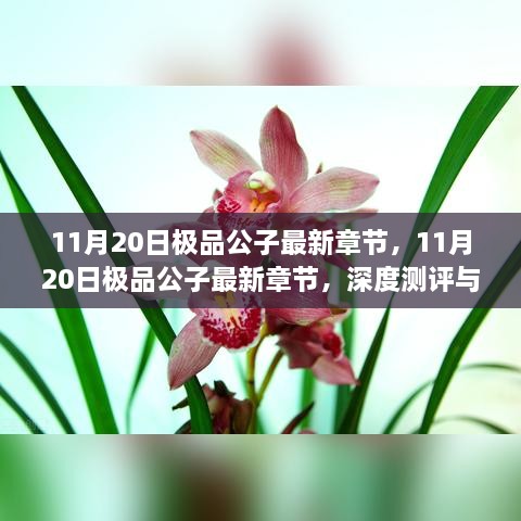 11月20日极品公子最新章节，深度测评与详细介绍