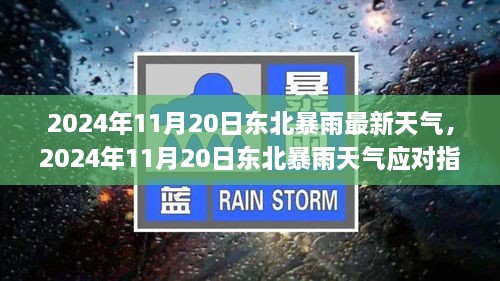 东北暴雨最新天气预报及应对指南，初学者与进阶用户通用指南（2024年11月20日）