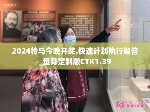 2024特马今晚开奖,快速计划执行解答_量身定制版CTK1.39