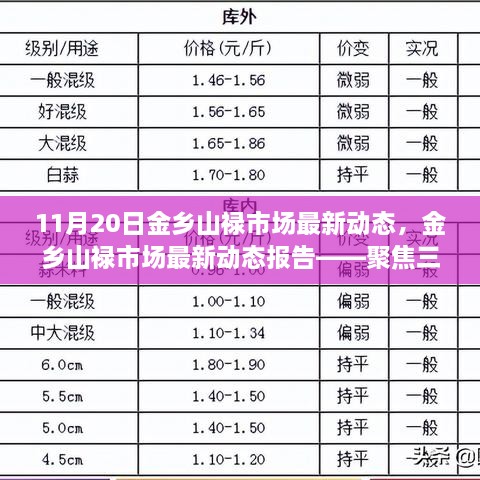 11月20日金乡山禄市场最新动态，金乡山禄市场最新动态报告——聚焦三大要点深度解析（11月20日更新）