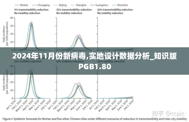 2024年11月份新病毒,实地设计数据分析_知识版PGB1.80