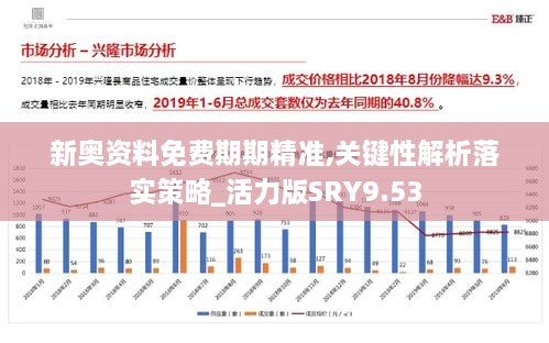 新奥资料免费期期精准,关键性解析落实策略_活力版SRY9.53