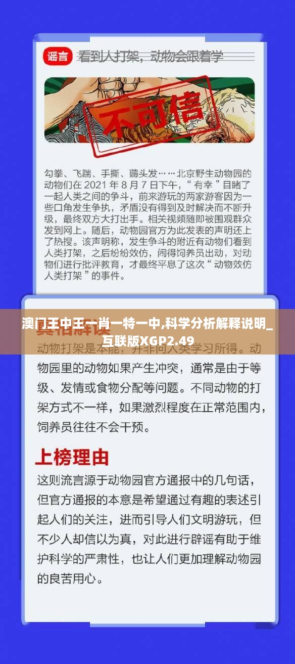 澳门王中王一肖一特一中,科学分析解释说明_互联版XGP2.49