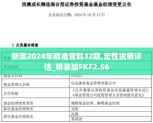 新澳2024年精准资料32期,定性说明评估_精装版FKF2.56