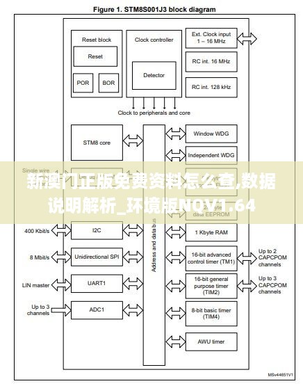 新澳门正版免费资料怎么查,数据说明解析_环境版NQV1.64