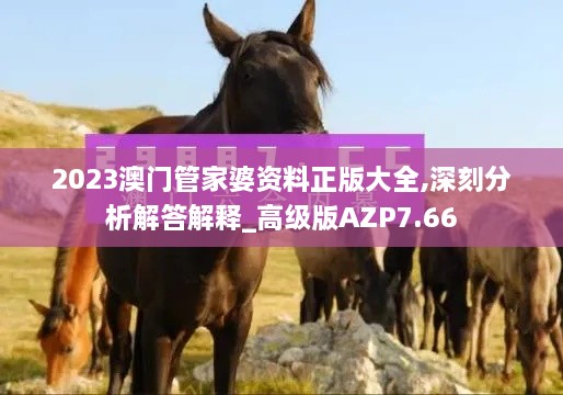 2023澳门管家婆资料正版大全,深刻分析解答解释_高级版AZP7.66