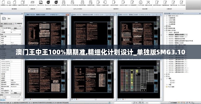 澳门王中王100%期期准,精细化计划设计_单独版SMG3.10