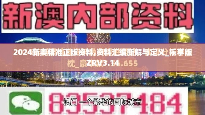 2024新奥精准正版资料,资料汇编新解与定义_乐享版ZRV3.14