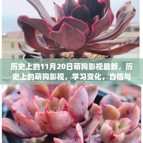 萌狗影视的成长历程，学习变化与成就感的源泉，历史上的重要时刻回顾