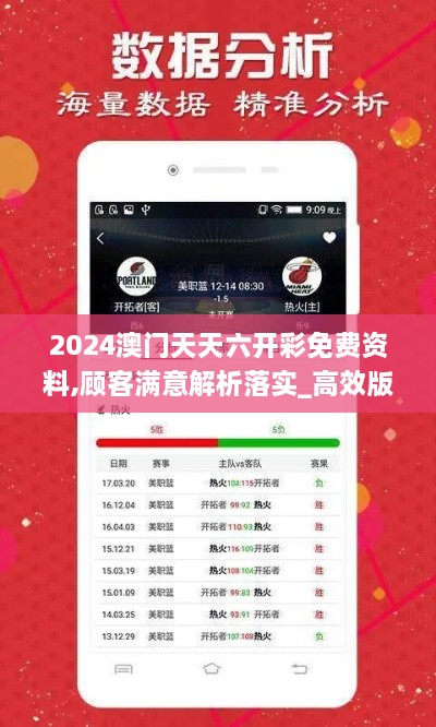 2024澳门天天六开彩免费资料,顾客满意解析落实_高效版YHN2.12