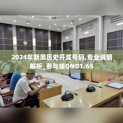 2024年新奥历史开奖号码,专业说明解析_参与版QND1.65