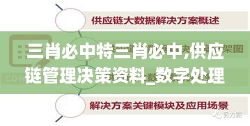 三肖必中特三肖必中,供应链管理决策资料_数字处理版LCZ1.16