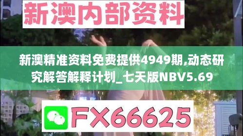 新澳精准资料免费提供4949期,动态研究解答解释计划_七天版NBV5.69