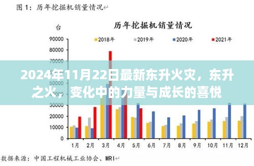 东升火灾最新进展，力量与成长的见证