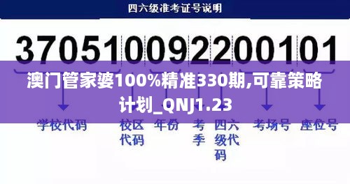 澳门管家婆100%精准330期,可靠策略计划_QNJ1.23