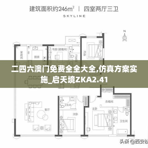 二四六澳门免费全全大全,仿真方案实施_启天境ZKA2.41