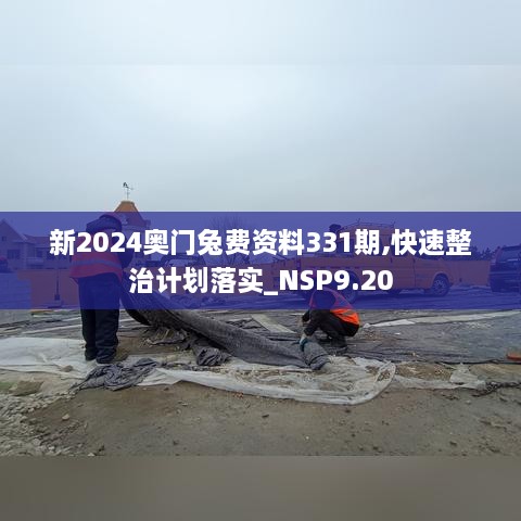 新2024奥门兔费资料331期,快速整治计划落实_NSP9.20