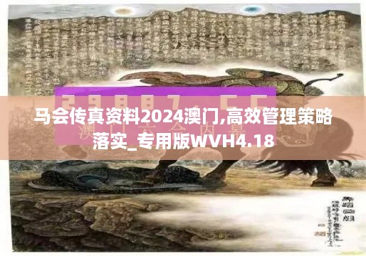 马会传真资料2024澳门,高效管理策略落实_专用版WVH4.18