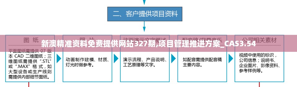 新澳精准资料免费提供网站327期,项目管理推进方案_CAS3.54