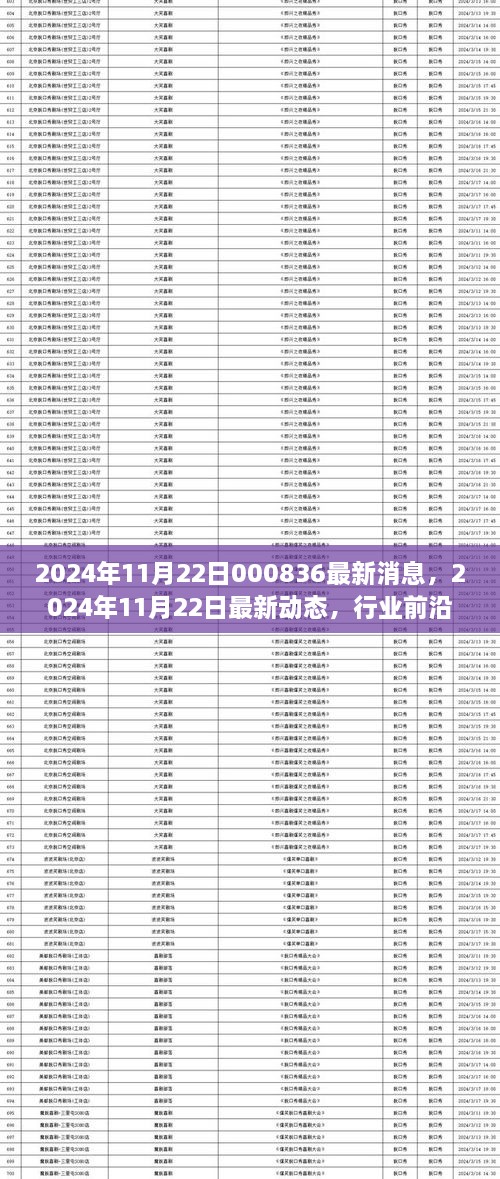 2024年11月22日行业前沿资讯速递，最新动态与深度解读