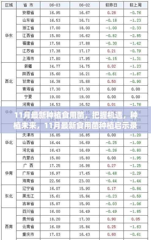 11月最新食用菌种植启示录，把握机遇，开启成就之旅