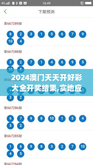 2024澳门天天开好彩大全开奖结果,实地应用实践解读_WIM7.90