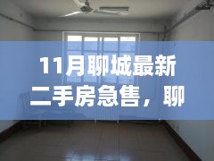 聊城最新二手房急售解析，市场走势、购房须知与推荐房源全攻略