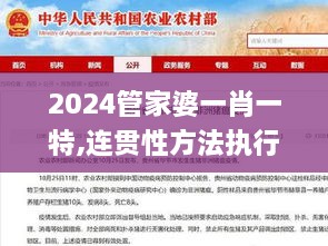 2024管家婆一肖一特,连贯性方法执行评估_OCU7.99