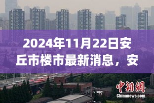 安丘市楼市最新动态，探寻温馨家园，延续美好时光（2024年11月22日）