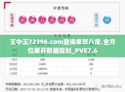 王中王72396.cσm查询单双八尾,全方位展开数据规划_PVE7.6