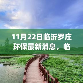 临沂罗庄环保最新动态解析，11月22日最新消息及动向关注