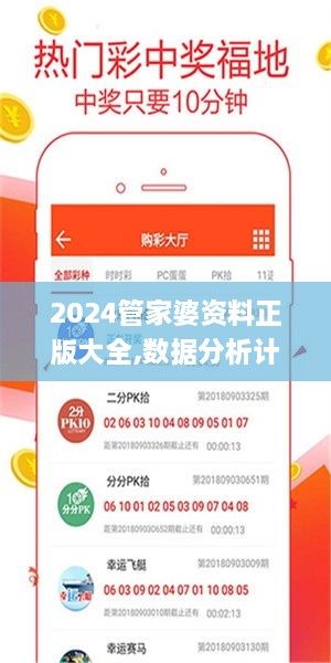 2024管家婆资料正版大全,数据分析计划_DYS7.98