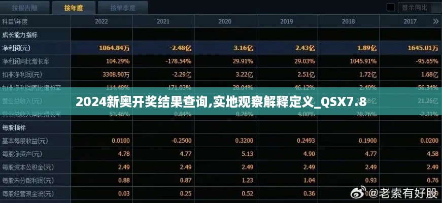 2024新奥开奖结果查询,实地观察解释定义_QSX7.8