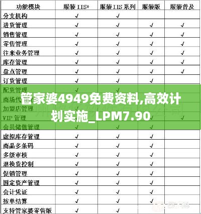 管家婆4949免费资料,高效计划实施_LPM7.90